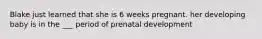 Blake just learned that she is 6 weeks pregnant. her developing baby is in the ___ period of prenatal development