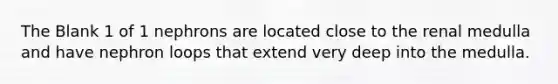 The Blank 1 of 1 nephrons are located close to the renal medulla and have nephron loops that extend very deep into the medulla.