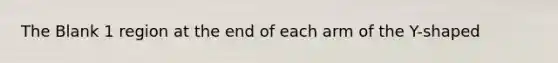The Blank 1 region at the end of each arm of the Y-shaped