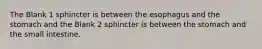 The Blank 1 sphincter is between the esophagus and the stomach and the Blank 2 sphincter is between the stomach and the small intestine.