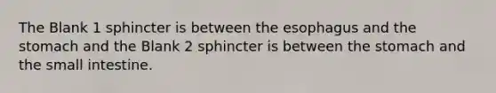 The Blank 1 sphincter is between <a href='https://www.questionai.com/knowledge/kSjVhaa9qF-the-esophagus' class='anchor-knowledge'>the esophagus</a> and <a href='https://www.questionai.com/knowledge/kLccSGjkt8-the-stomach' class='anchor-knowledge'>the stomach</a> and the Blank 2 sphincter is between the stomach and <a href='https://www.questionai.com/knowledge/kt623fh5xn-the-small-intestine' class='anchor-knowledge'>the small intestine</a>.