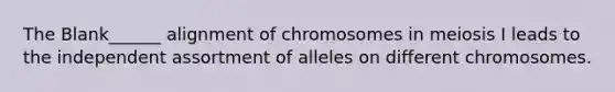 The Blank______ alignment of chromosomes in meiosis I leads to the independent assortment of alleles on different chromosomes.