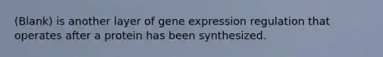 (Blank) is another layer of gene expression regulation that operates after a protein has been synthesized.