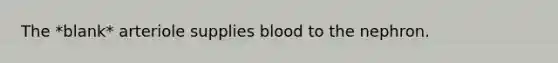 The *blank* arteriole supplies blood to the nephron.