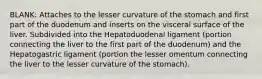 BLANK: Attaches to the lesser curvature of the stomach and first part of the duodenum and inserts on the visceral surface of the liver. Subdivided into the Hepatoduodenal ligament (portion connecting the liver to the first part of the duodenum) and the Hepatogastric ligament (portion the lesser omentum connecting the liver to the lesser curvature of the stomach).