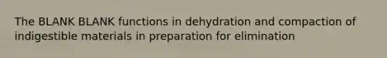 The BLANK BLANK functions in dehydration and compaction of indigestible materials in preparation for elimination