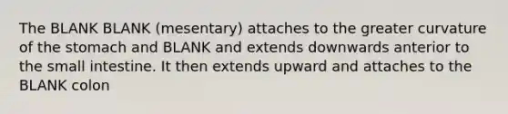 The BLANK BLANK (mesentary) attaches to the greater curvature of the stomach and BLANK and extends downwards anterior to the small intestine. It then extends upward and attaches to the BLANK colon