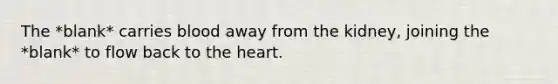 The *blank* carries blood away from the kidney, joining the *blank* to flow back to the heart.