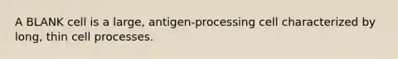 A BLANK cell is a large, antigen-processing cell characterized by long, thin cell processes.