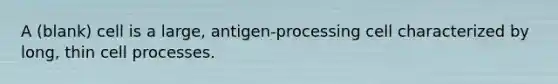 A (blank) cell is a large, antigen-processing cell characterized by long, thin cell processes.