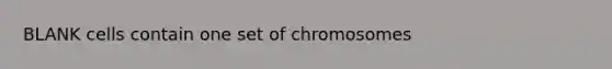 BLANK cells contain one set of chromosomes