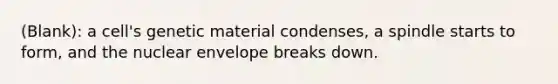 (Blank): a cell's genetic material condenses, a spindle starts to form, and the nuclear envelope breaks down.