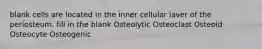 blank cells are located in the inner cellular laver of the periosteum. fill in the blank Osteolytic Osteoclast Osteoid Osteocyte Osteogenic