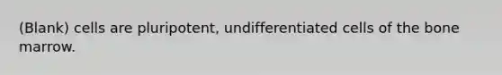 (Blank) cells are pluripotent, undifferentiated cells of the bone marrow.