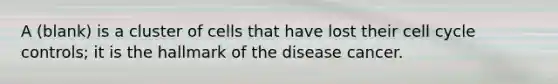 A (blank) is a cluster of cells that have lost their cell cycle controls; it is the hallmark of the disease cancer.