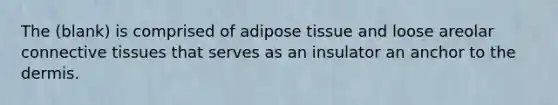 The (blank) is comprised of adipose tissue and loose areolar connective tissues that serves as an insulator an anchor to the dermis.