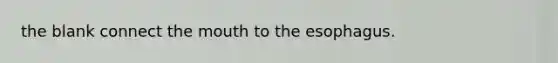 the blank connect the mouth to the esophagus.