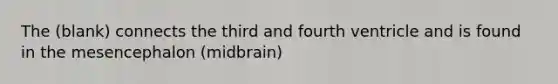 The (blank) connects the third and fourth ventricle and is found in the mesencephalon (midbrain)