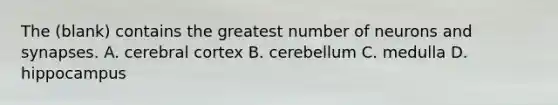 The (blank) contains the greatest number of neurons and synapses. A. cerebral cortex B. cerebellum C. medulla D. hippocampus