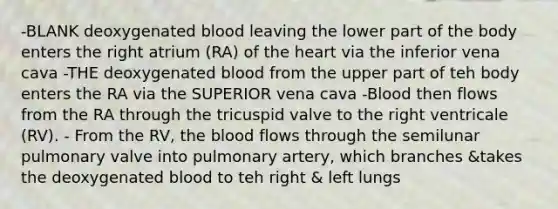 -BLANK deoxygenated blood leaving the lower part of the body enters the right atrium (RA) of the heart via the inferior vena cava -THE deoxygenated blood from the upper part of teh body enters the RA via the SUPERIOR vena cava -Blood then flows from the RA through the tricuspid valve to the right ventricale (RV). - From the RV, the blood flows through the semilunar pulmonary valve into pulmonary artery, which branches &takes the deoxygenated blood to teh right & left lungs