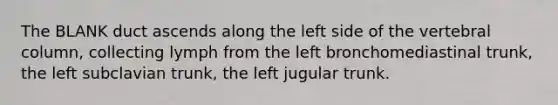 The BLANK duct ascends along the left side of the vertebral column, collecting lymph from the left bronchomediastinal trunk, the left subclavian trunk, the left jugular trunk.