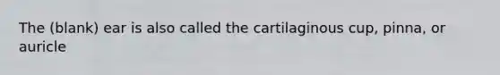 The (blank) ear is also called the cartilaginous cup, pinna, or auricle