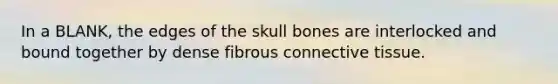 In a BLANK, the edges of the skull bones are interlocked and bound together by dense fibrous connective tissue.