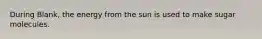 During Blank, the energy from the sun is used to make sugar molecules.