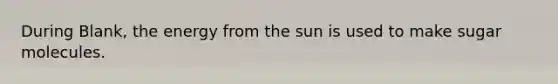 During Blank, the energy from the sun is used to make sugar molecules.