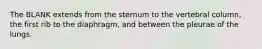 The BLANK extends from the sternum to the vertebral column, the first rib to the diaphragm, and between the pleurae of the lungs.