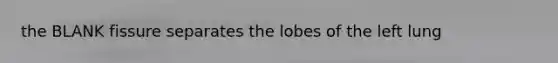 the BLANK fissure separates the lobes of the left lung