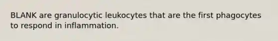 BLANK are granulocytic leukocytes that are the first phagocytes to respond in inflammation.