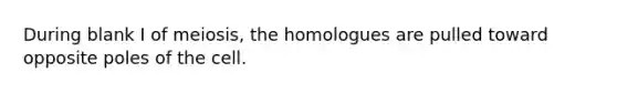 During blank I of meiosis, the homologues are pulled toward opposite poles of the cell.