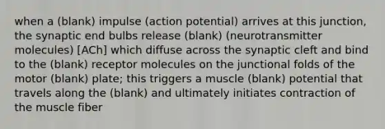 when a (blank) impulse (action potential) arrives at this junction, the synaptic end bulbs release (blank) (neurotransmitter molecules) [ACh] which diffuse across the synaptic cleft and bind to the (blank) receptor molecules on the junctional folds of the motor (blank) plate; this triggers a muscle (blank) potential that travels along the (blank) and ultimately initiates contraction of the muscle fiber