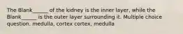 The Blank______ of the kidney is the inner layer, while the Blank______ is the outer layer surrounding it. Multiple choice question. medulla, cortex cortex, medulla