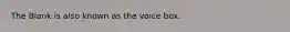 The Blank is also known as the voice box.