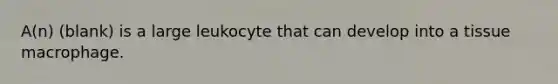 A(n) (blank) is a large leukocyte that can develop into a tissue macrophage.