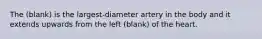 The (blank) is the largest-diameter artery in the body and it extends upwards from the left (blank) of the heart.