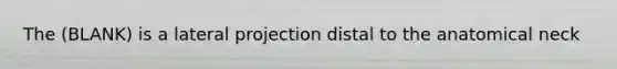 The (BLANK) is a lateral projection distal to the anatomical neck