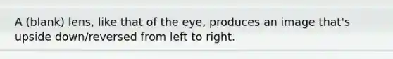 A (blank) lens, like that of the eye, produces an image that's upside down/reversed from left to right.