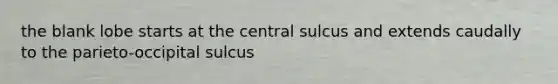 the blank lobe starts at the central sulcus and extends caudally to the parieto-occipital sulcus