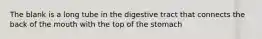 The blank is a long tube in the digestive tract that connects the back of the mouth with the top of the stomach