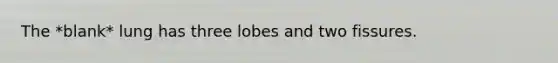The *blank* lung has three lobes and two fissures.