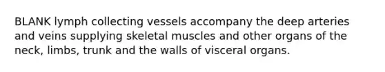 BLANK lymph collecting vessels accompany the deep arteries and veins supplying skeletal muscles and other organs of the neck, limbs, trunk and the walls of visceral organs.