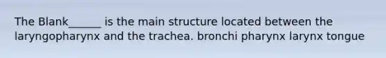 The Blank______ is the main structure located between the laryngopharynx and the trachea. bronchi pharynx larynx tongue