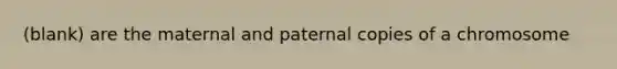 (blank) are the maternal and paternal copies of a chromosome