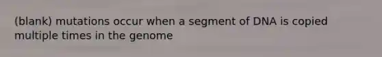 (blank) mutations occur when a segment of DNA is copied multiple times in the genome