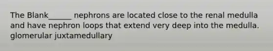 The Blank______ nephrons are located close to the renal medulla and have nephron loops that extend very deep into the medulla. glomerular juxtamedullary