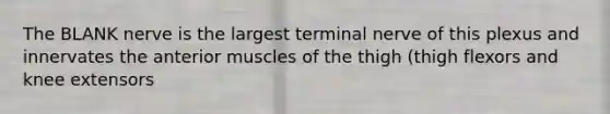 The BLANK nerve is the largest terminal nerve of this plexus and innervates the anterior muscles of the thigh (thigh flexors and knee extensors