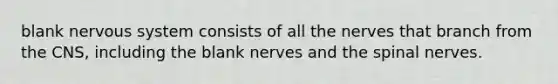 blank nervous system consists of all the nerves that branch from the CNS, including the blank nerves and the spinal nerves.